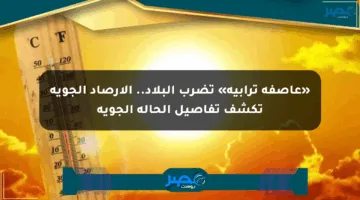 «عاصفة ترابية» تضرب البلاد.. الأرصاد الجوية تكشف تفاصيل الحالة الجوية